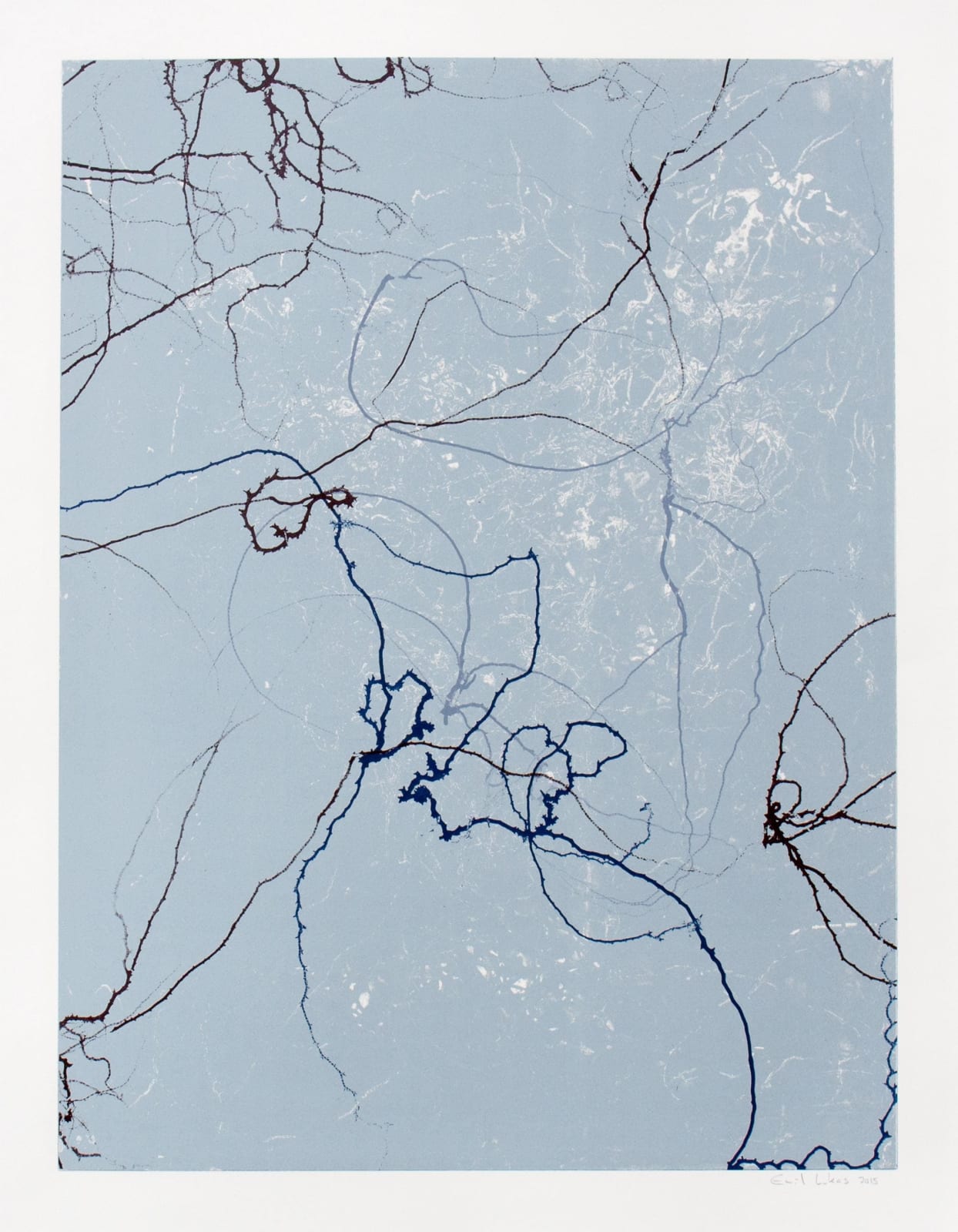 Emil Lukas, Larva 19, 2015