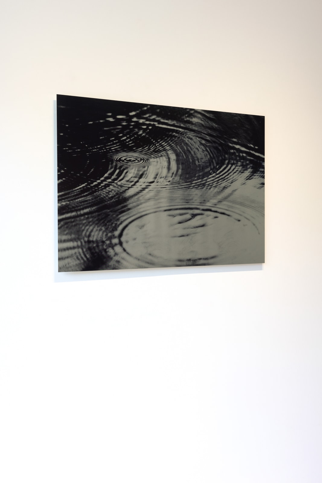 Ray Charles White, Reverie, 2005