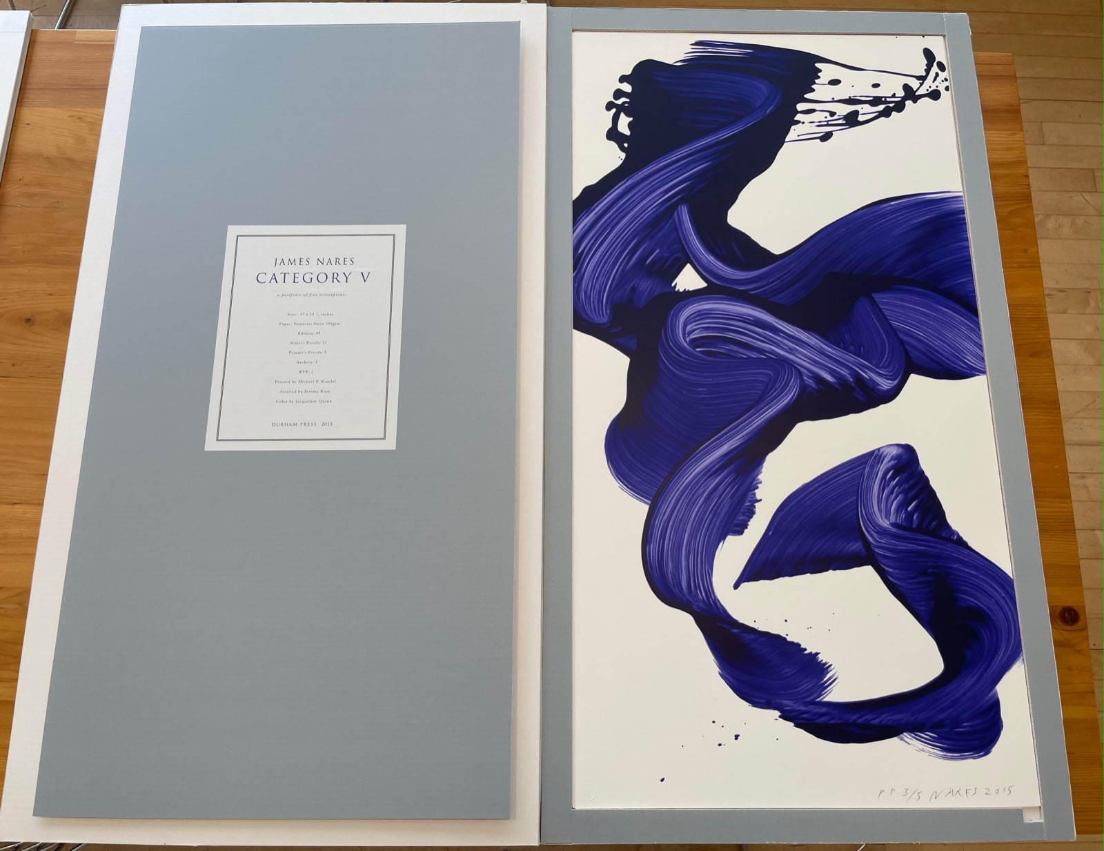 James Jamie Nares CATEGORY V Print Edition