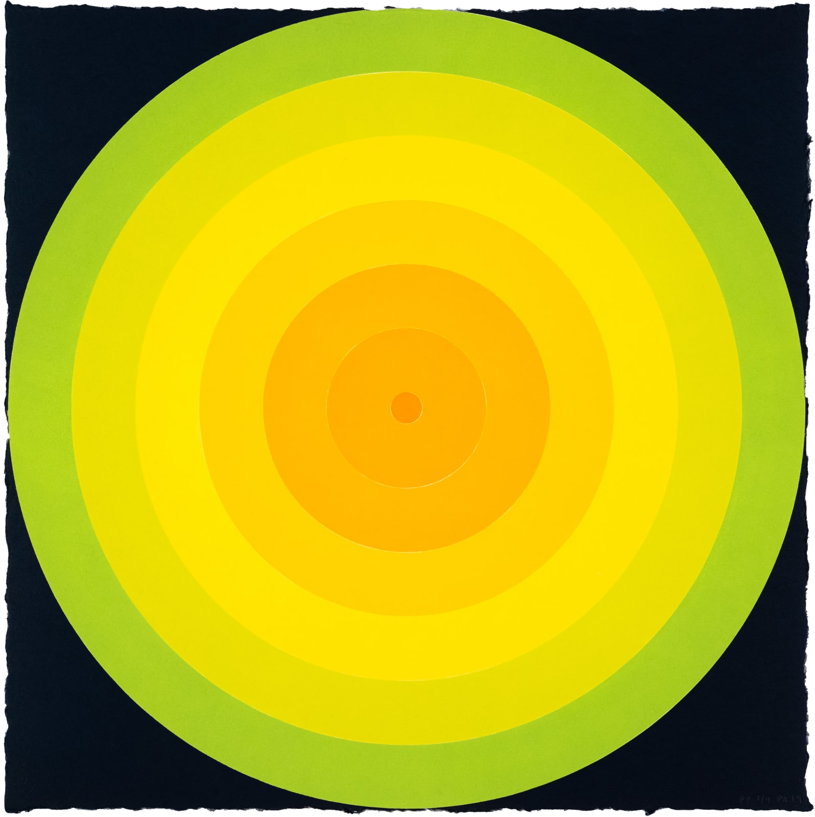 Polly Apfelbaum On Target Yellow Print Edition