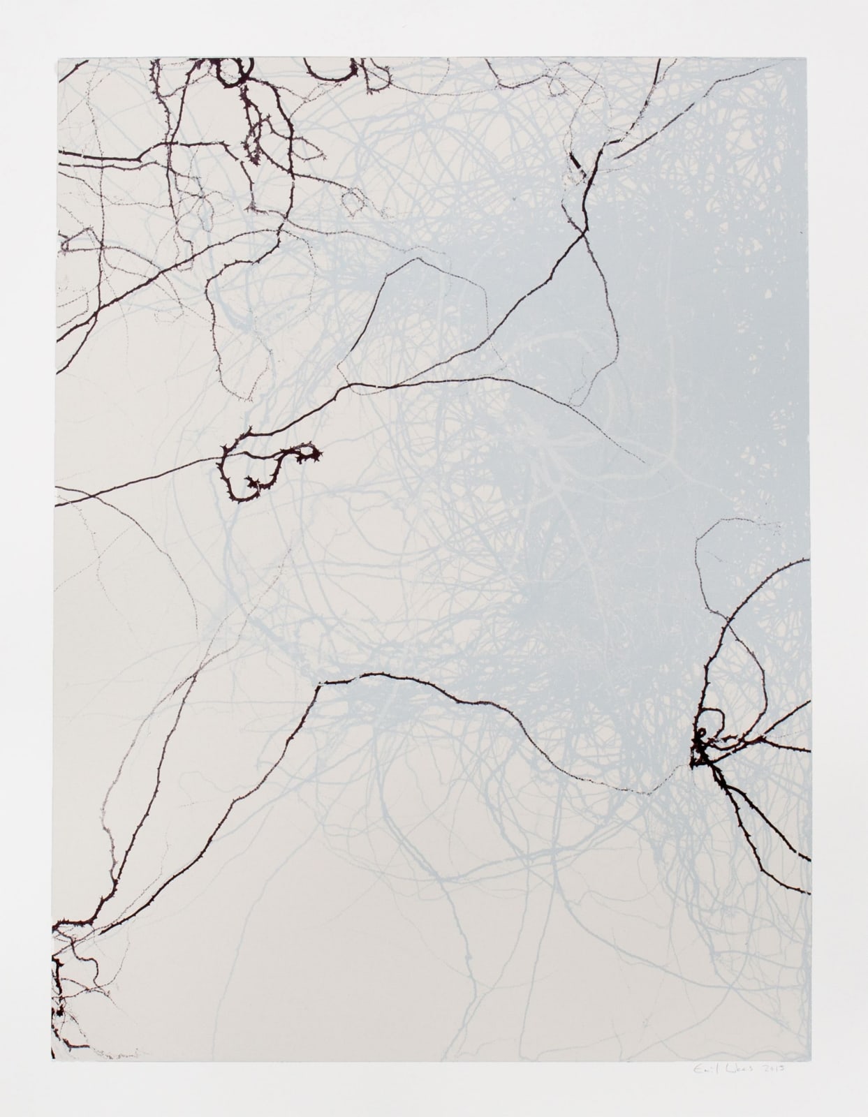 Emil Lukas Larva 25 Mono Print