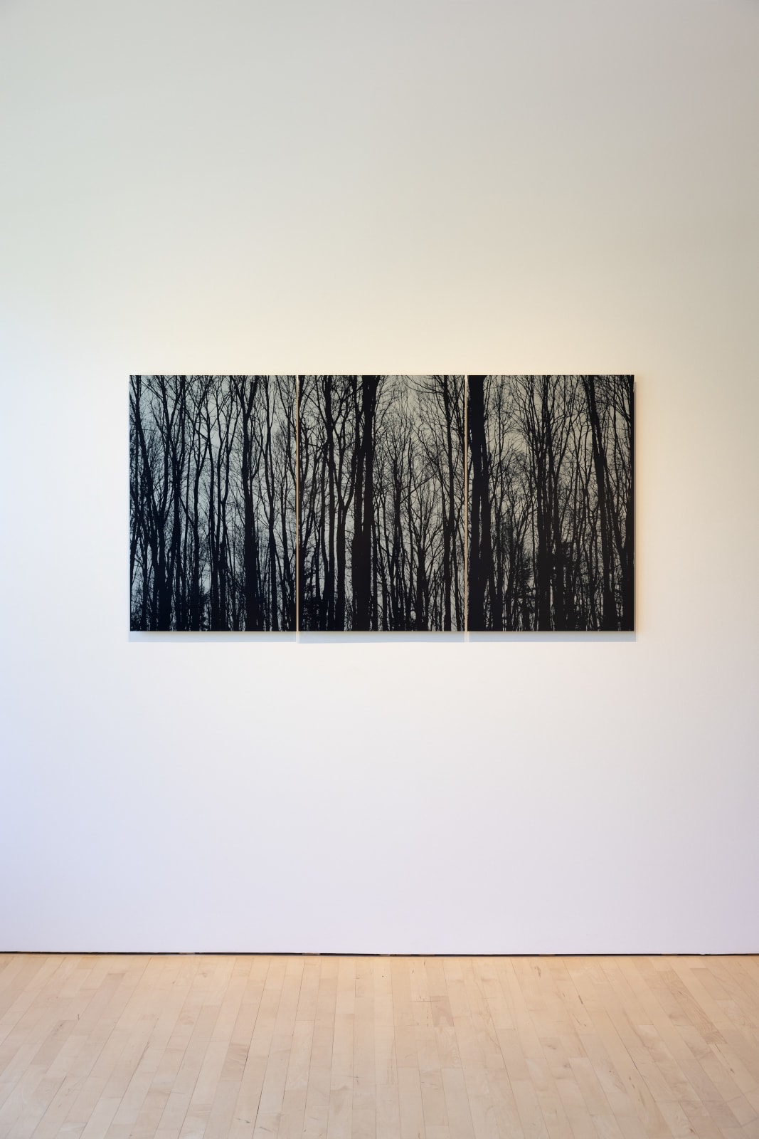 Ray Charles White, Malden Woods (Blue), 2007