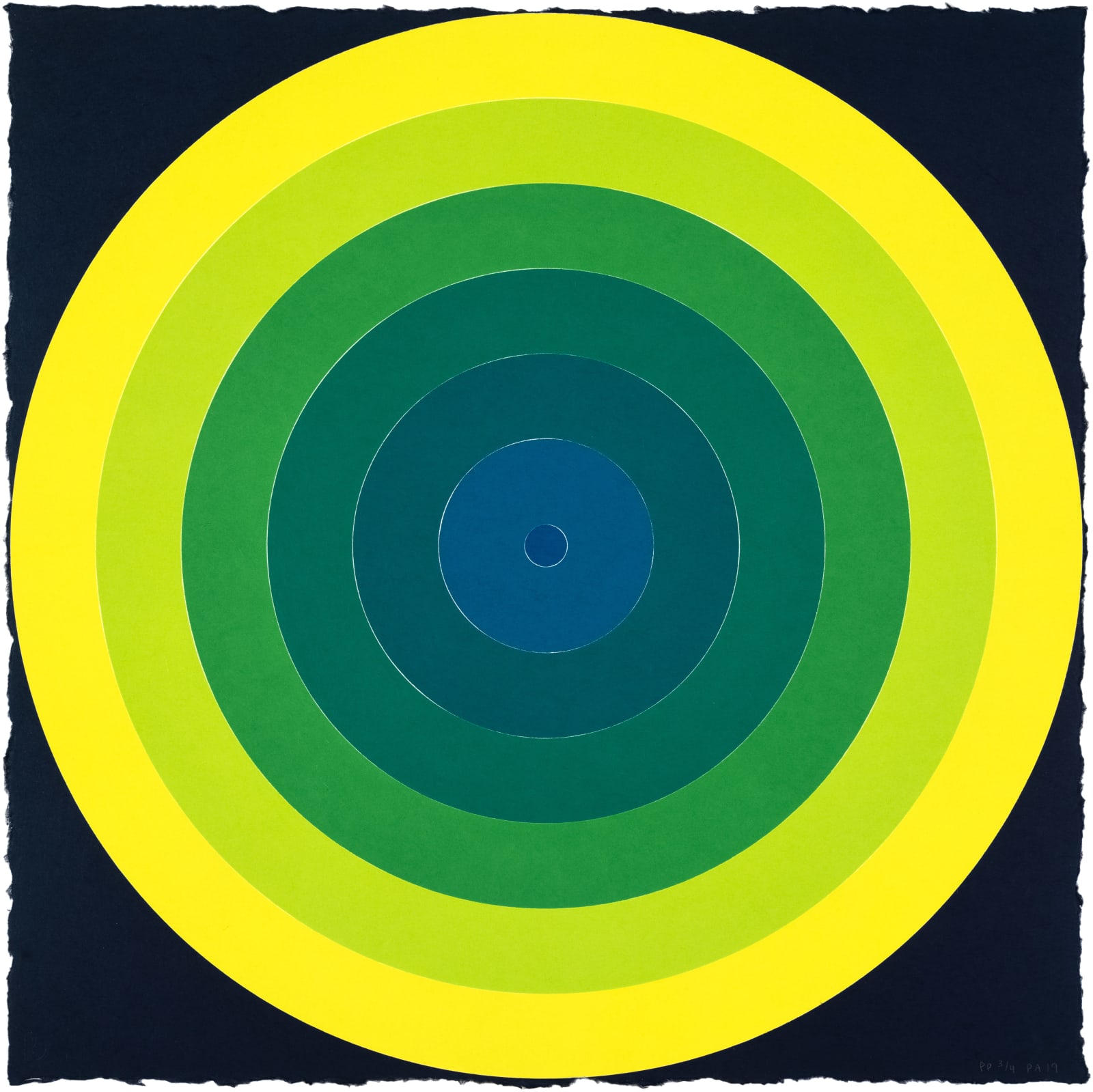 Polly Apfelbaum On Target Green Print Edition