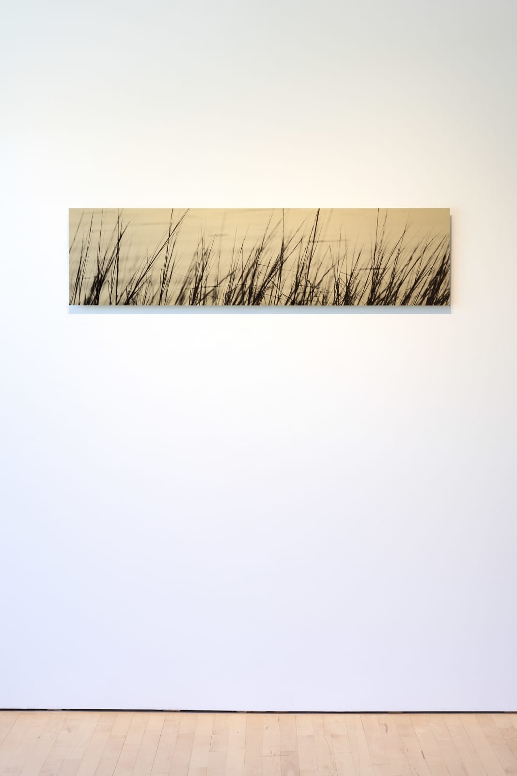 Ray Charles White, Deep Creek Grass, 1999