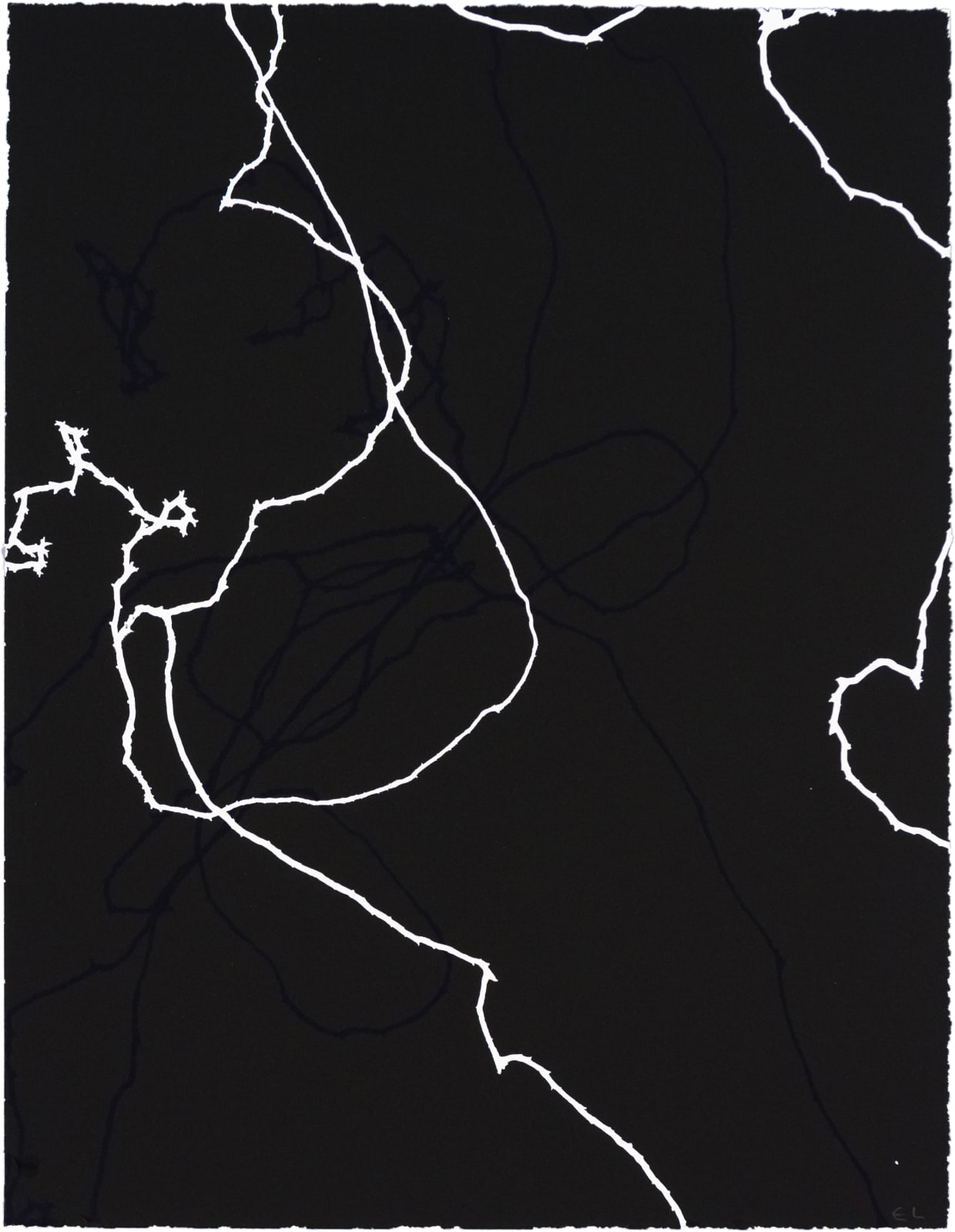 Emil Lukas Double Event Larva 1893 Mono Print