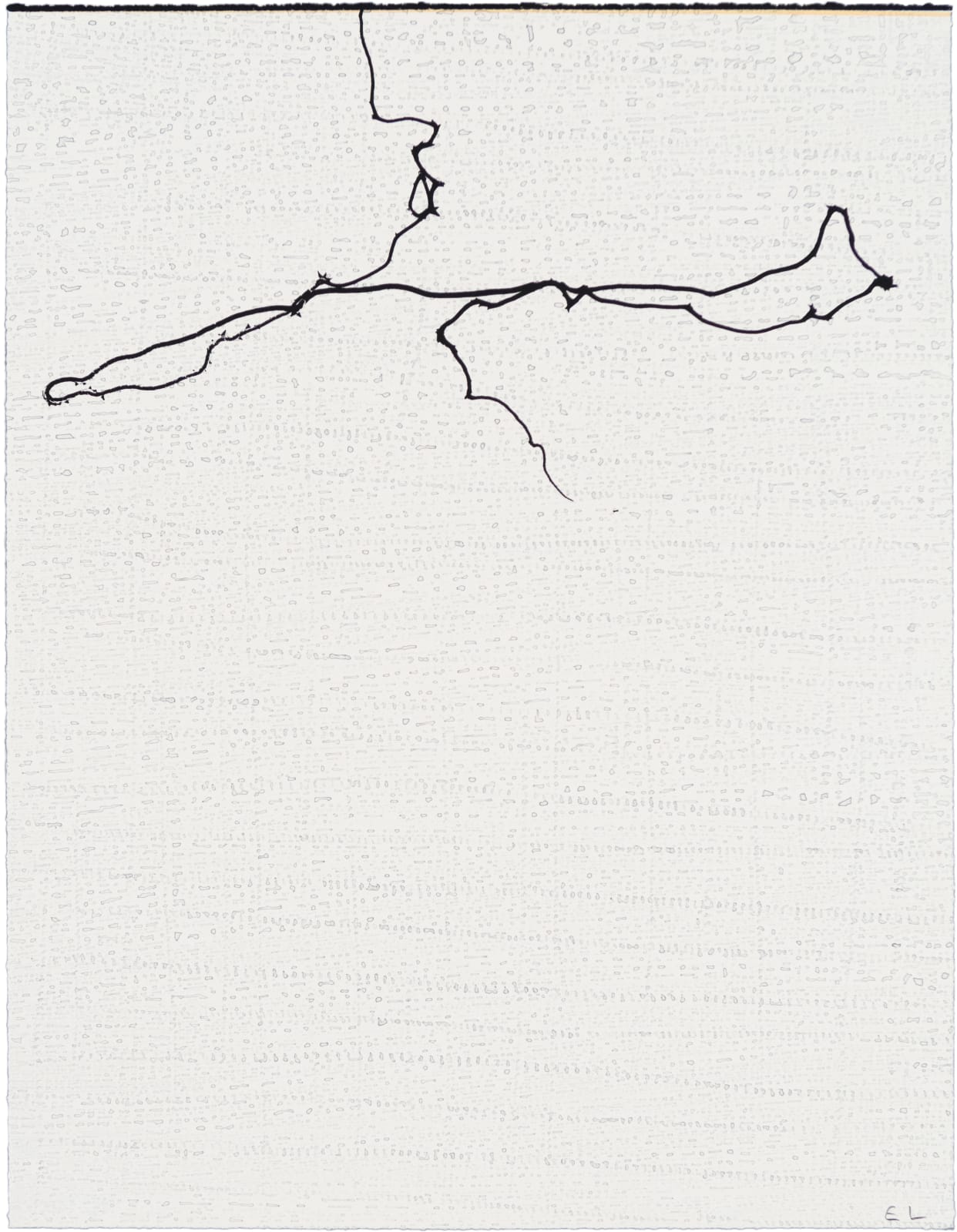 Emil Lukas Double Event Larva 1898 Mono Print