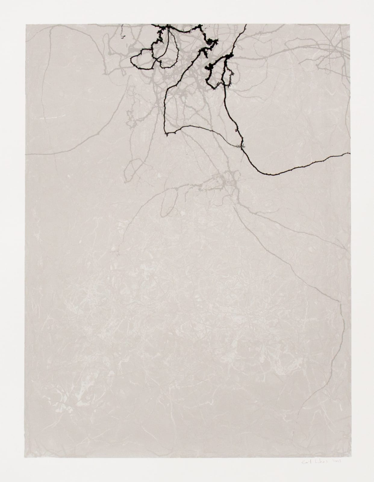 Emil Lukas, Larva 17, 2015