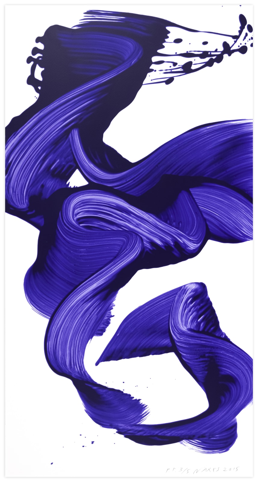 James Jamie Nares CATEGORY V 1 Print Edition