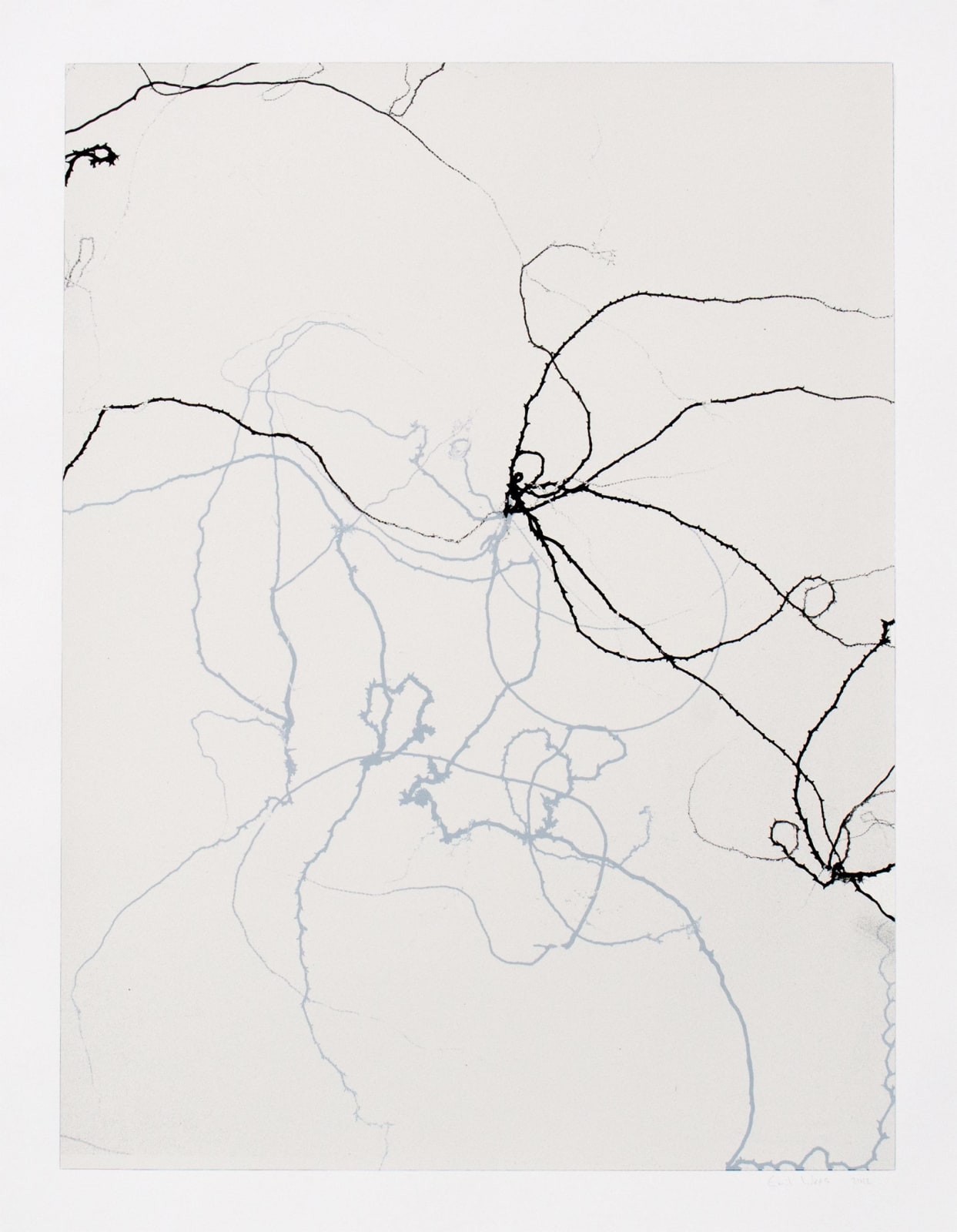 Emil Lukas, Larva 9, 2012