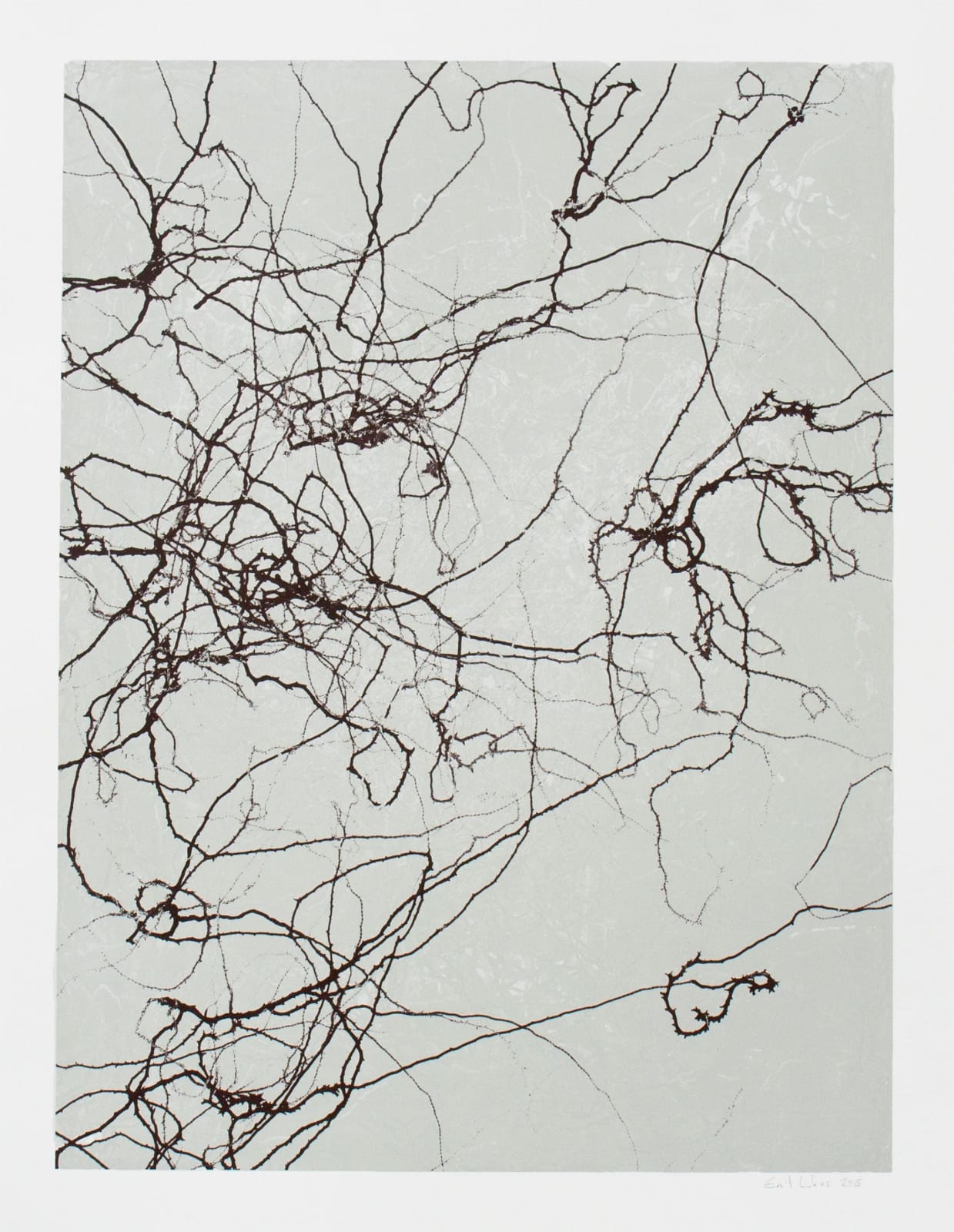 Emil Lukas, Larva 22, 2015