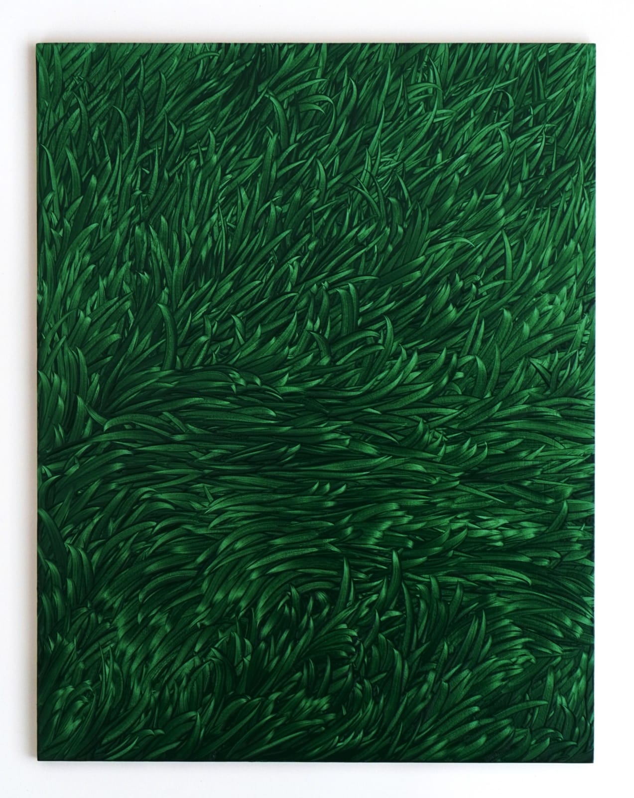 Maja Klaassens, Grass, 2024