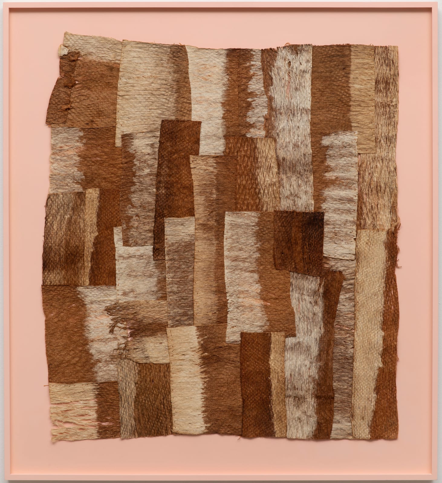 Paul Beumer, A tree? Antiaris, the sap of which is very poisonous, 2020