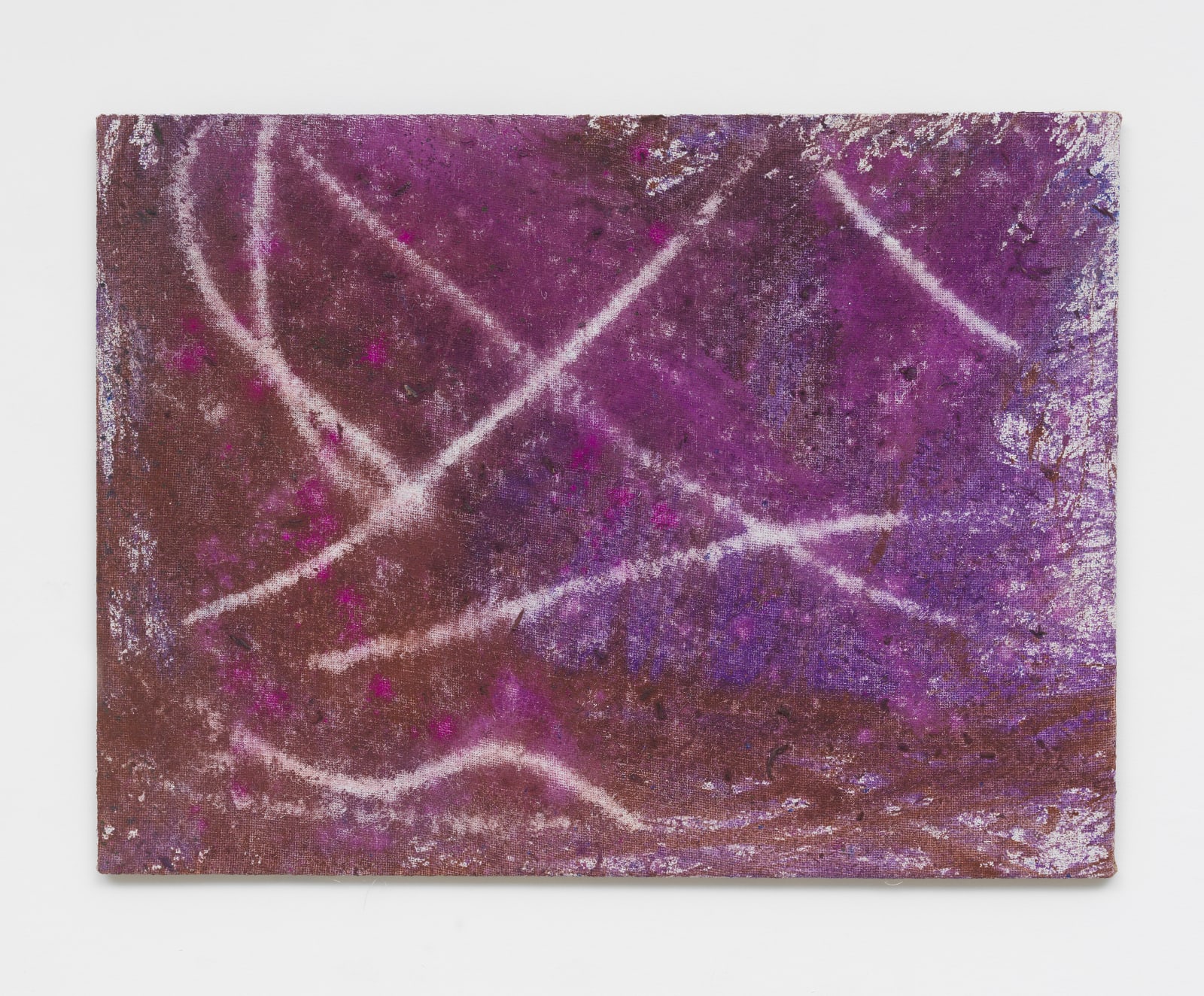 David Roth, Flower painting (Hohenau), 2023