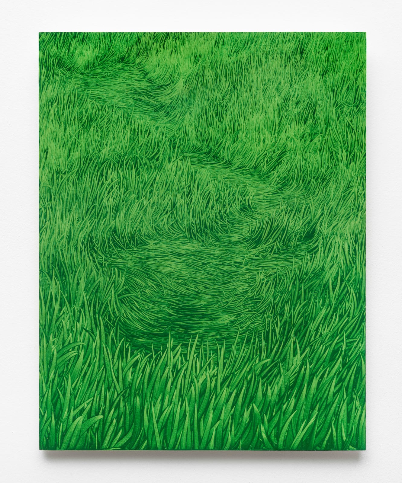 Maja Klaassens, Grass, 2024