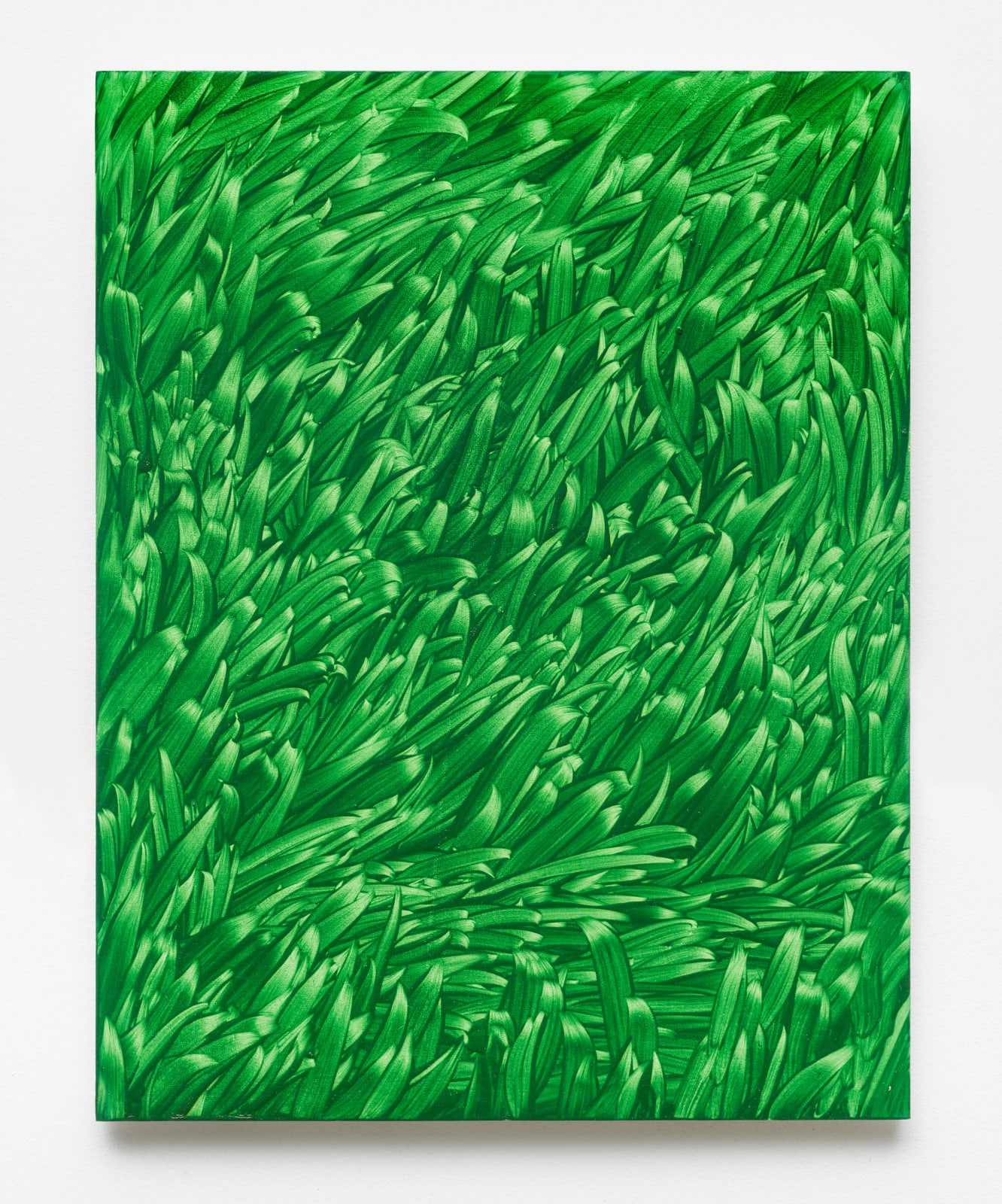 Maja Klaassens, Grass, 2024