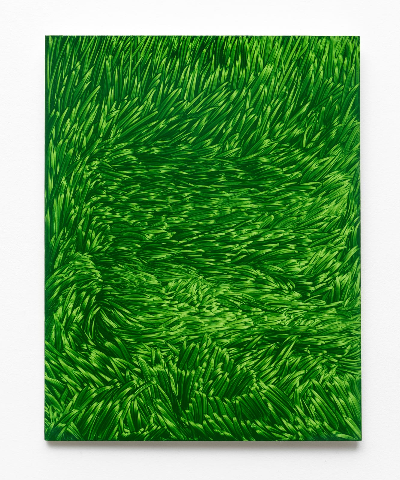 Maja Klaassens, Grass, 2025