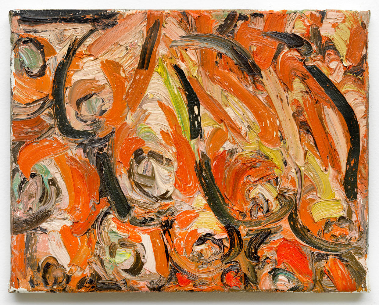 Wieske Wester, Carrots #1, 2017