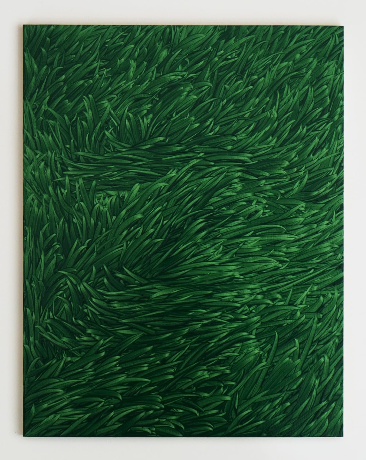 Maja Klaassens, Grass, 2024