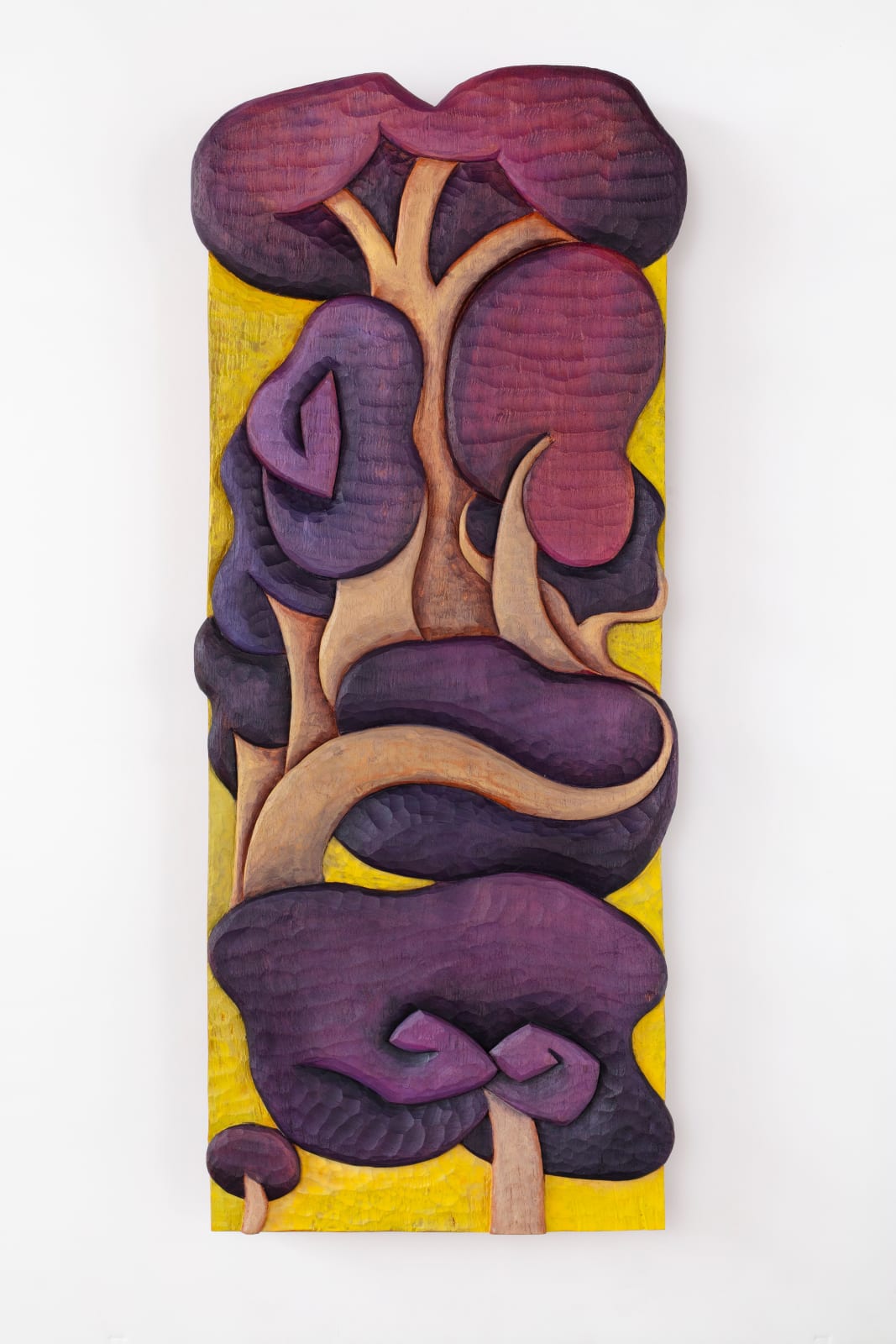 Alejandra Venegas, Jacarandas encimadas, 2024