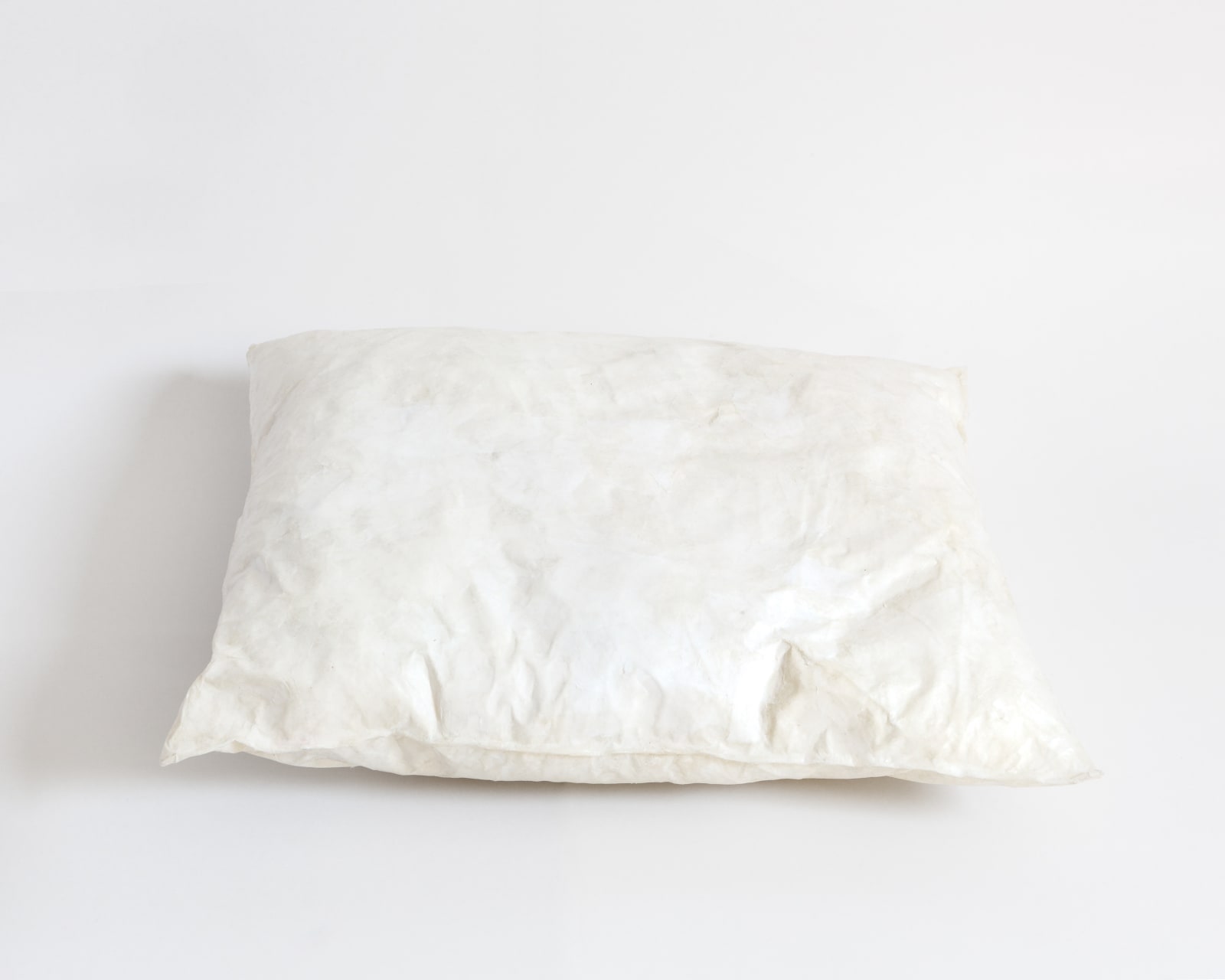 Alexandre Lavet, Nap study, 2018