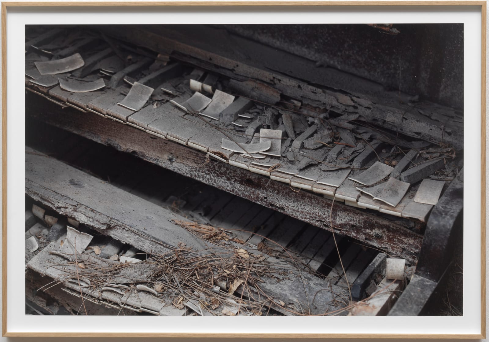Raúl Ortega Ayala, Field note 18-06-19 - 0022 (Church organ, Plymouth), 2023