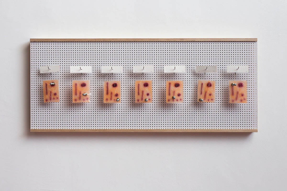 Barak Ravitz, Yiwa, 2014