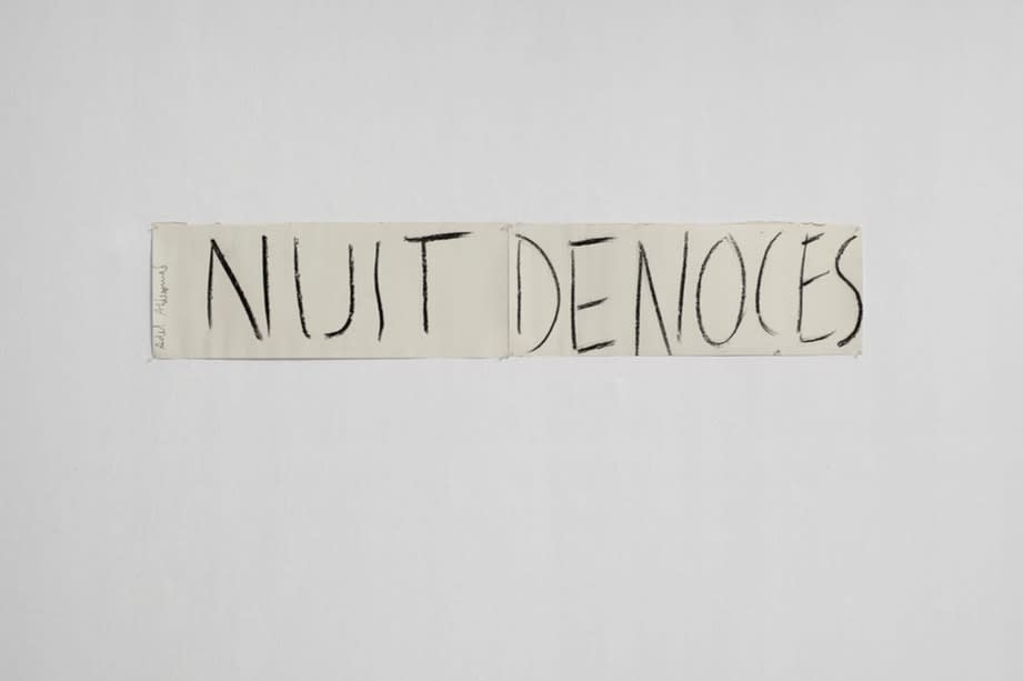 Adel Abdessemed, Nuit de Noces, 2013