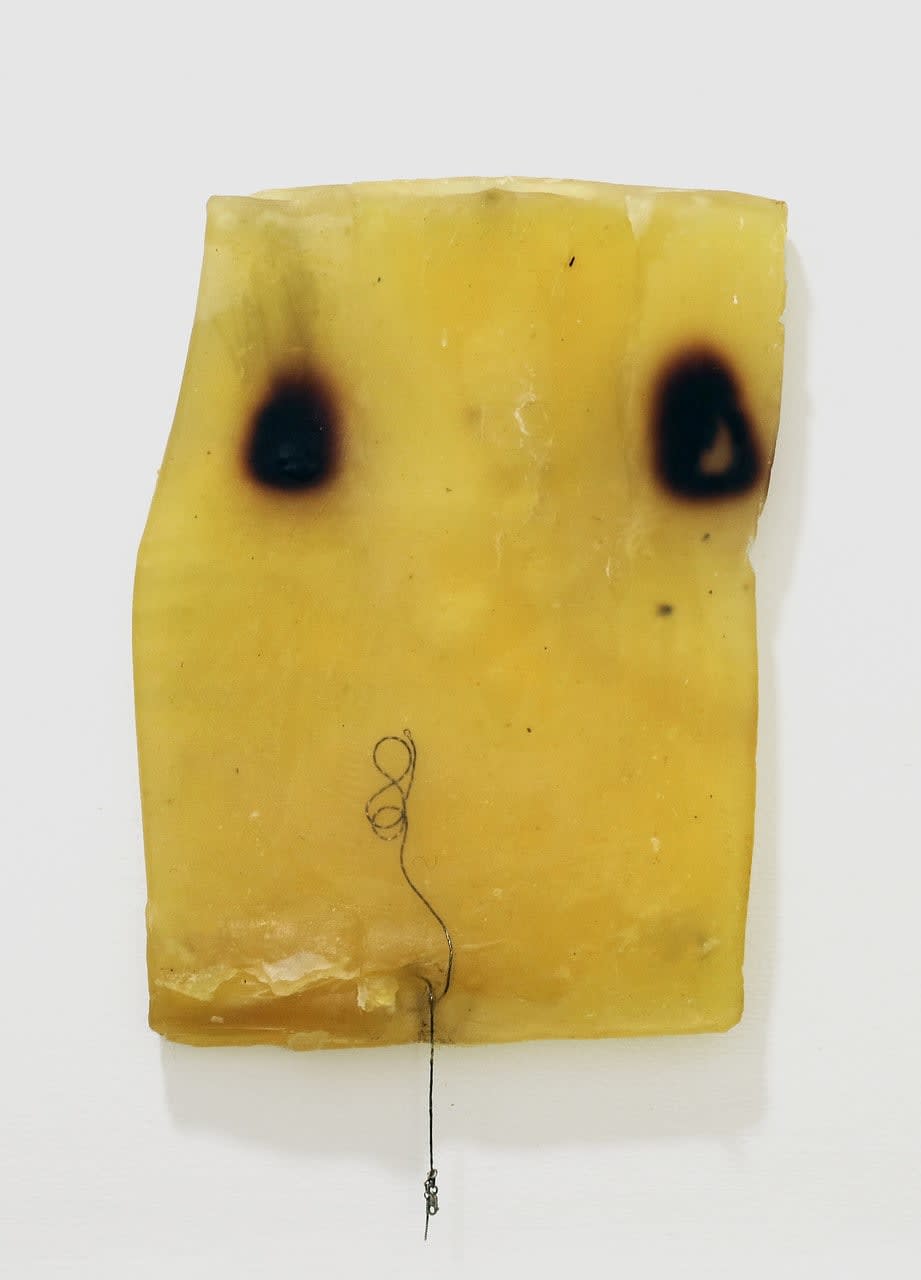 Bri Williams, Torso, 2018