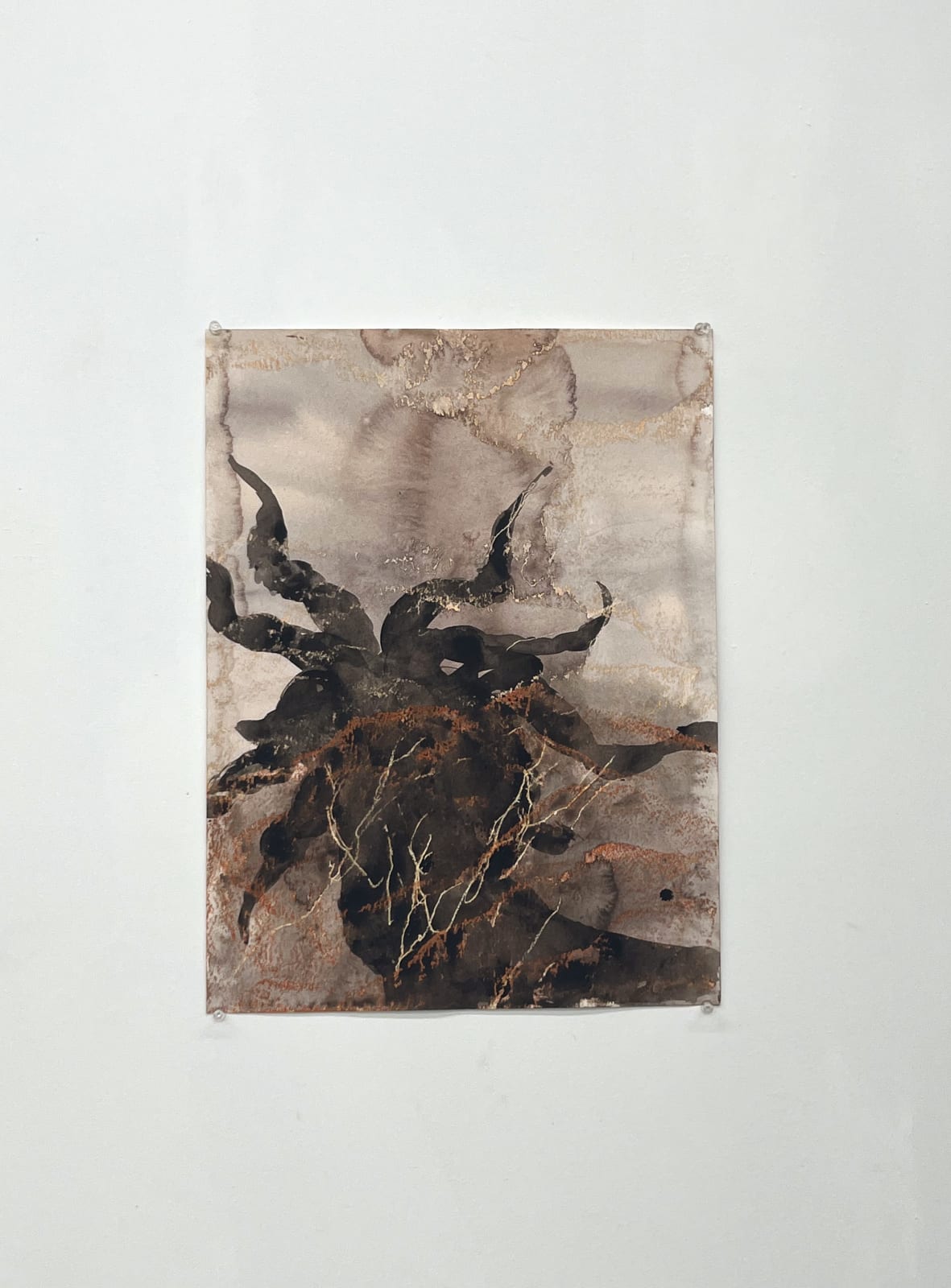 Alma Itzhaky, Untitled, 2024