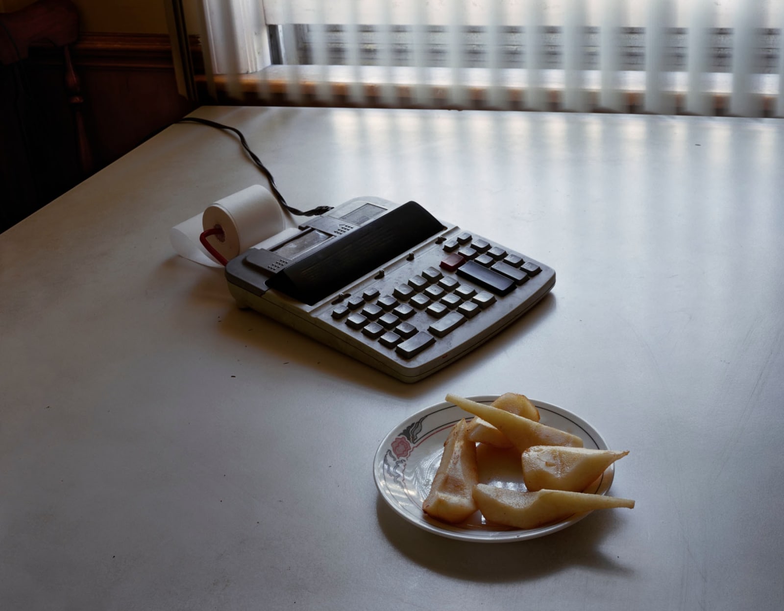 Anna Shteynshleyger, Pears and Calculator, 2004-2009
