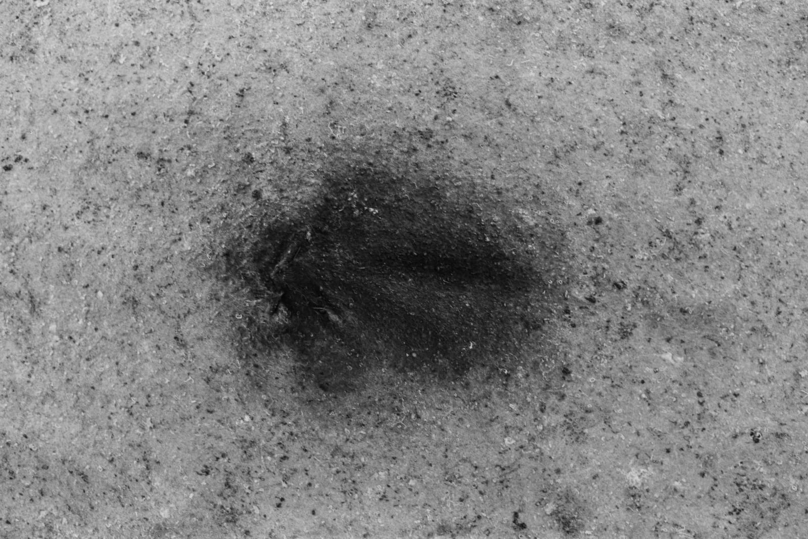 Etty Schwartz, Ne Neodymium, 1998 - 2022