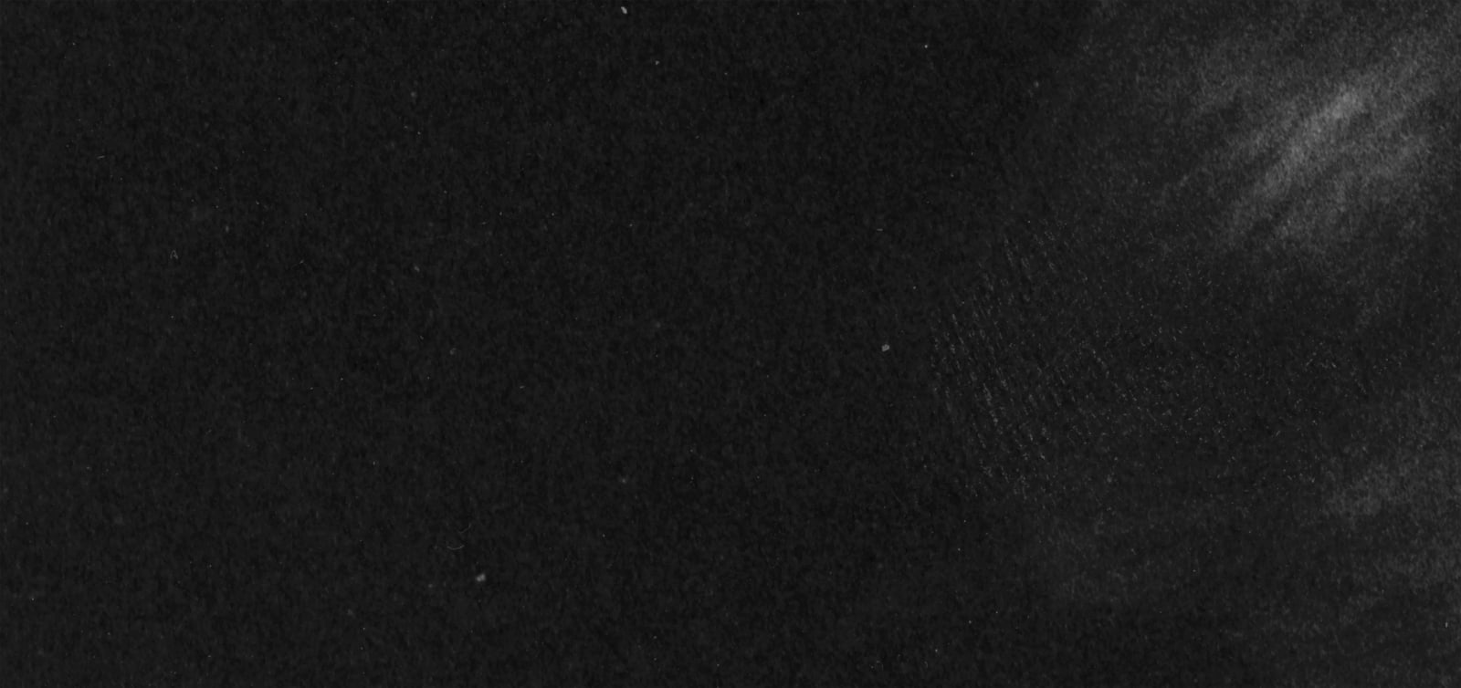 Jonathan Monk, Il cane di Pistoletto 5, 2017