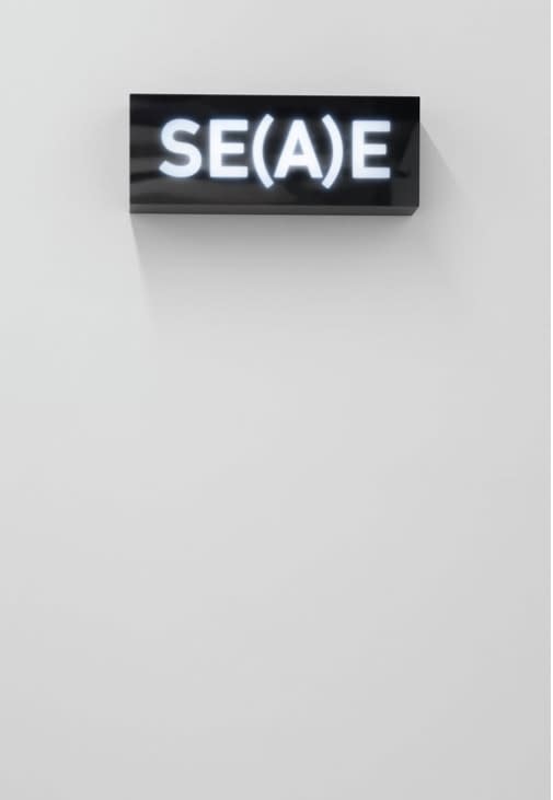 Melik Ohanian, Word(s), Serie II — SE(A)E, 2014