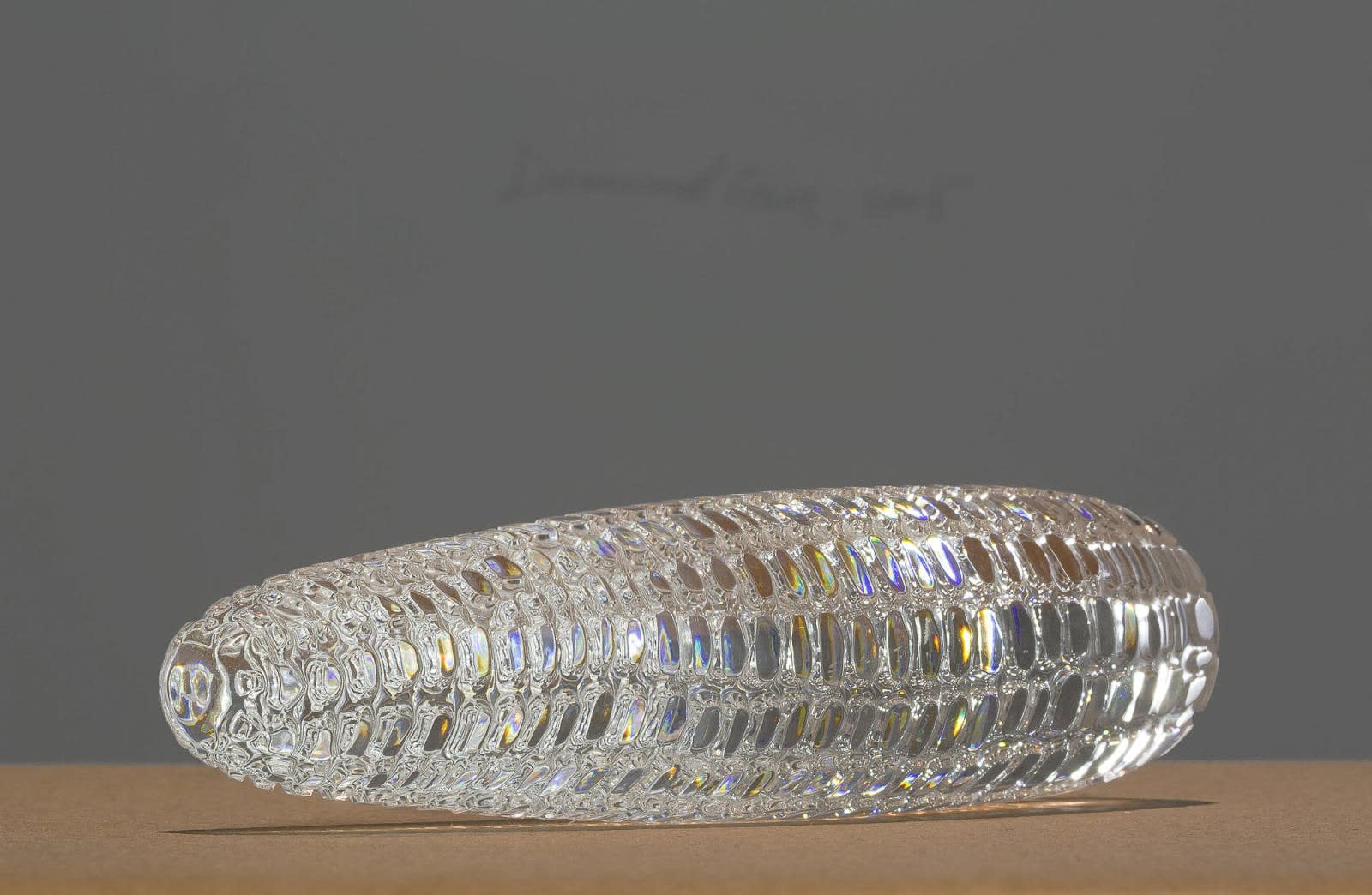 Mircea Cantor, Diamond Corn, 2005