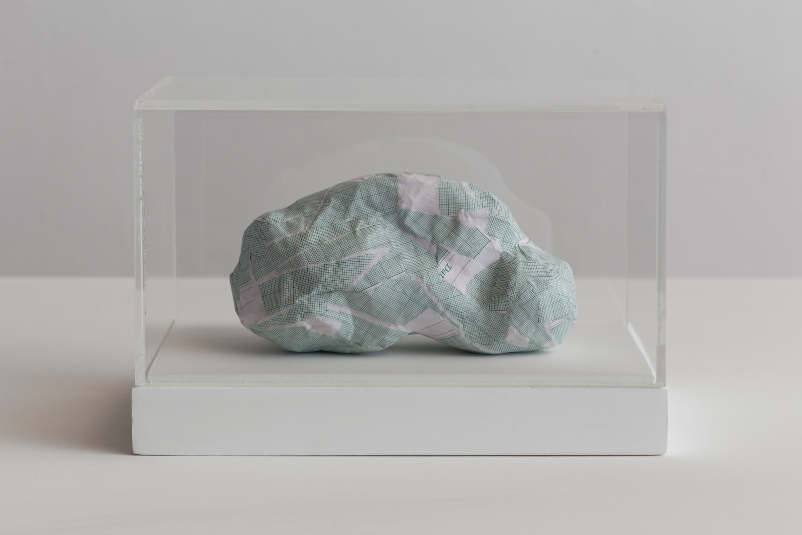 Shilpa Gupta, Untitled V, 2016