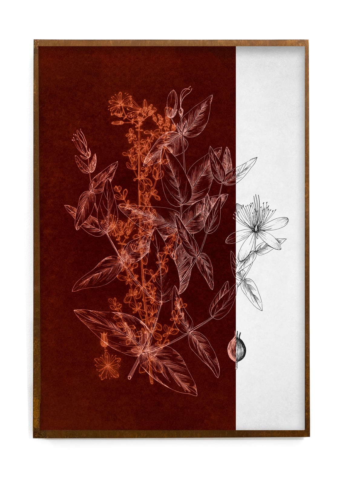 Dor Guez, Knowing the Land #5, 2022