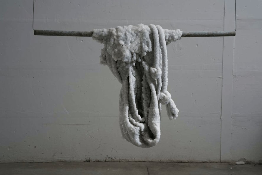 Sigalit Landau, Fishermens foe, 2016