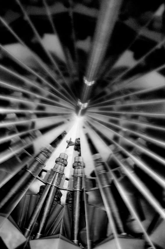 Mircea Cantor, Holy flowers II, 2010