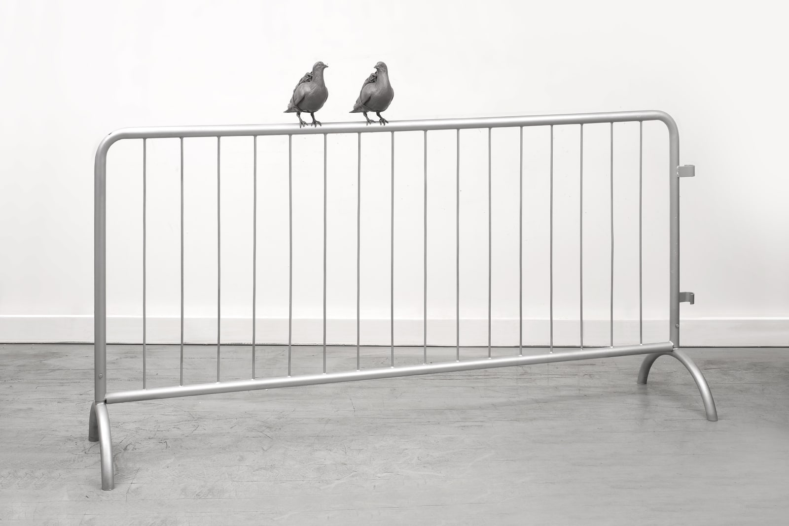 Adel Abdessemed, Two pigeons, 2016