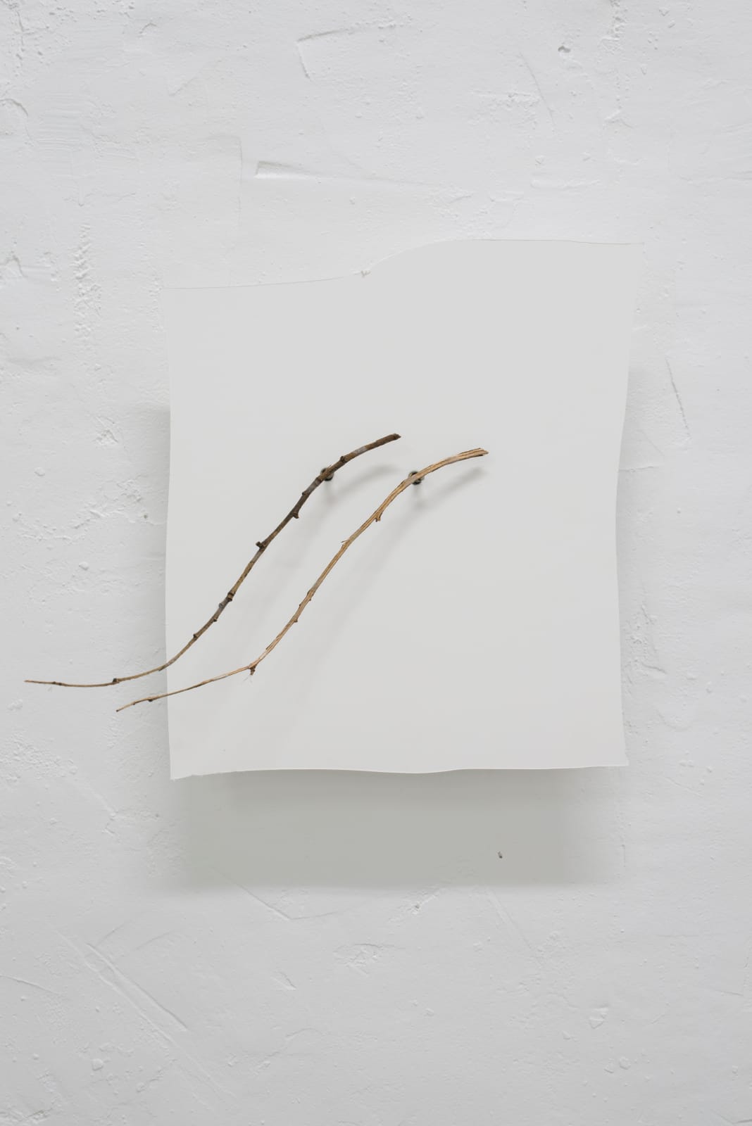 Ariel Schlesinger, Untitled, 2021