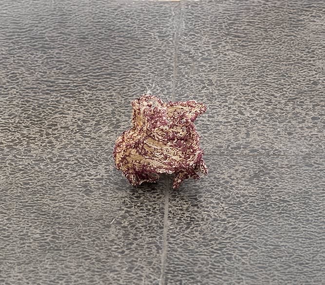 Lihi Goldstein, Wandering route (1), 2026