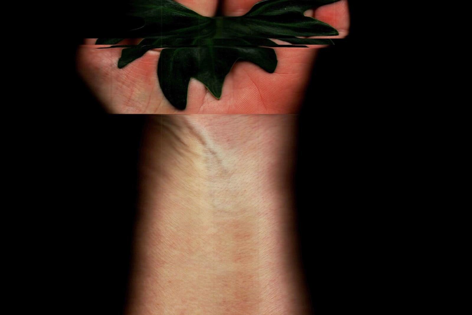 Noa Zait, Untitled (Bat), 2025