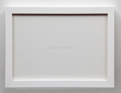 Shilpa Gupta, Sensation, 2012