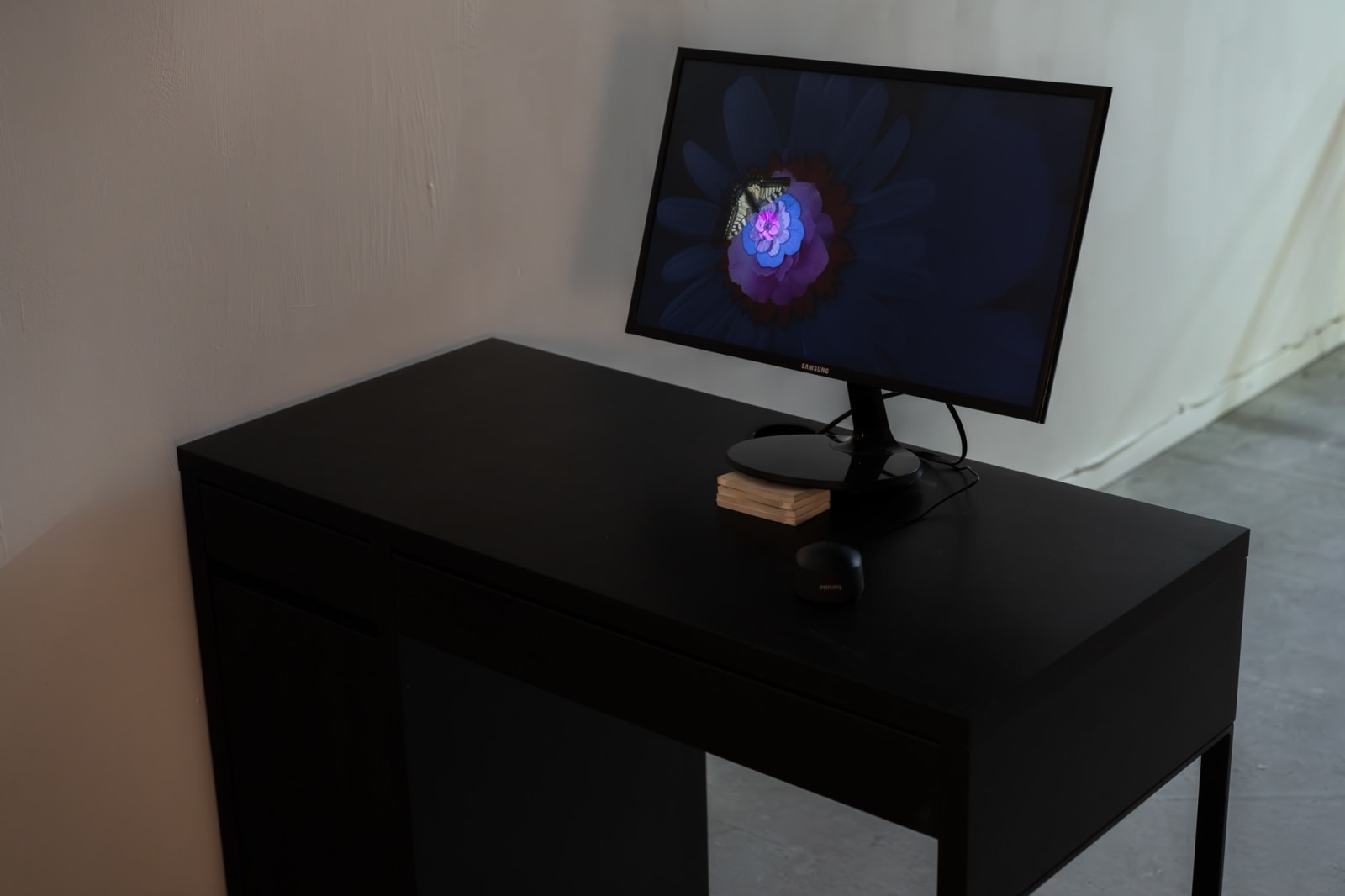 Shai-Lee Horodi, The Flower to the Butterfly / הפרפר לפרח, 2023