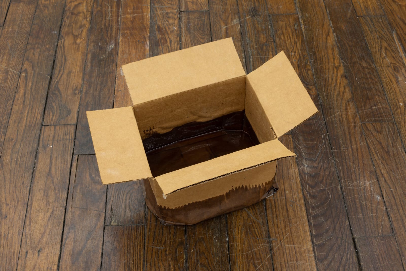 Ariel Schlesinger, Zu erinnern und zu vergessen, 2022