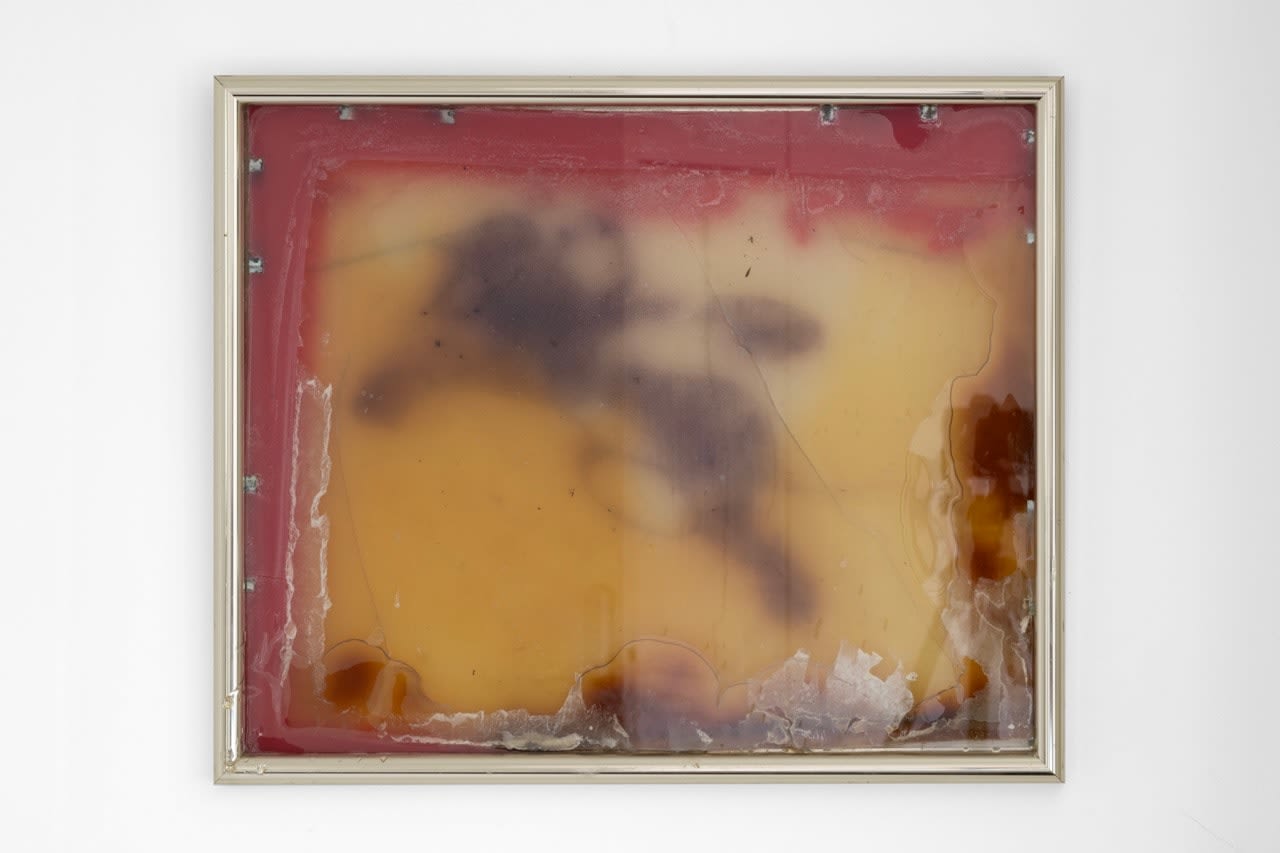 Bri Williams, Pest Control, 2020