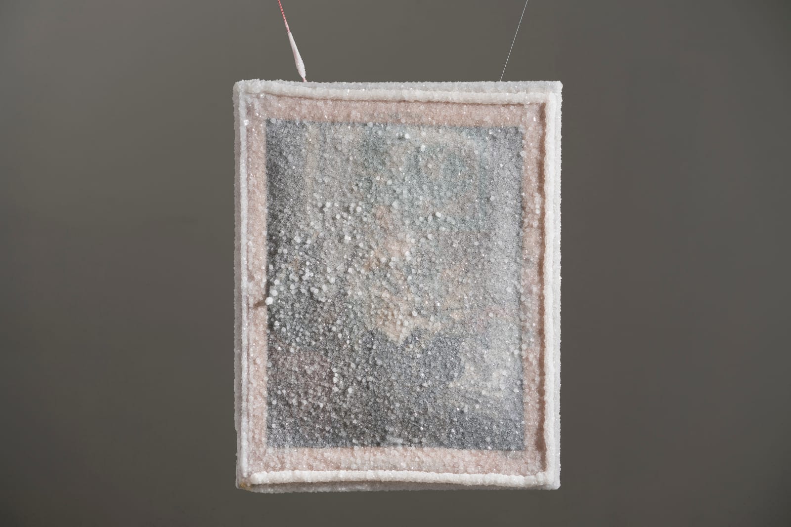 Sigalit Landau, Kenwood, 2020