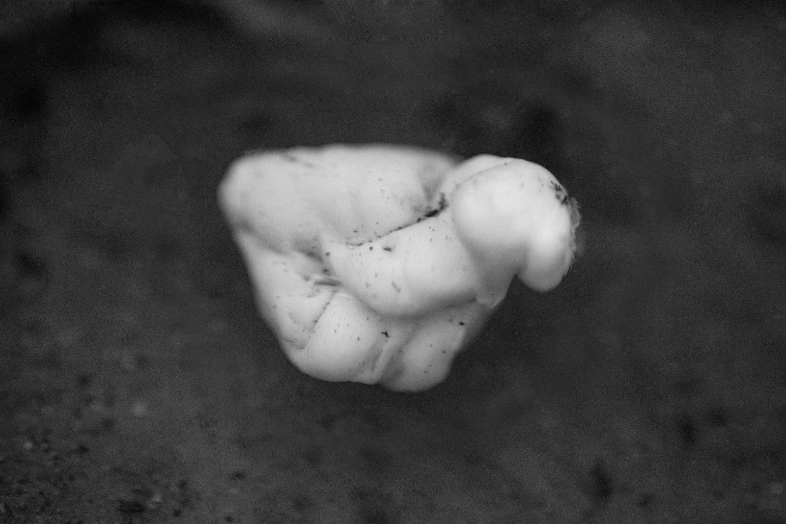 Etty Schwartz, Pt Platinum, 1998 - 2022