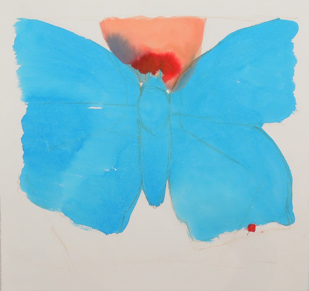 Orna Bromberg, A girl's portrait and a butterfly , 2012