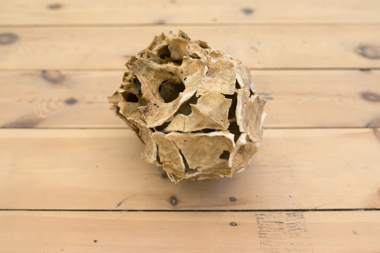 Ariel Schlesinger, Untitled (Inside out skull), 2014